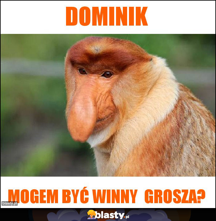 Dominik