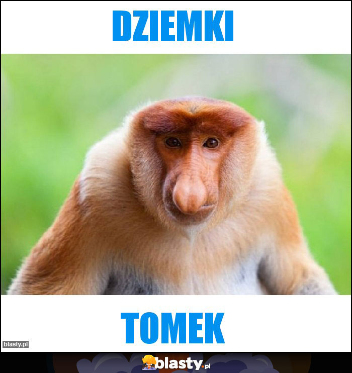 DZIEMKI