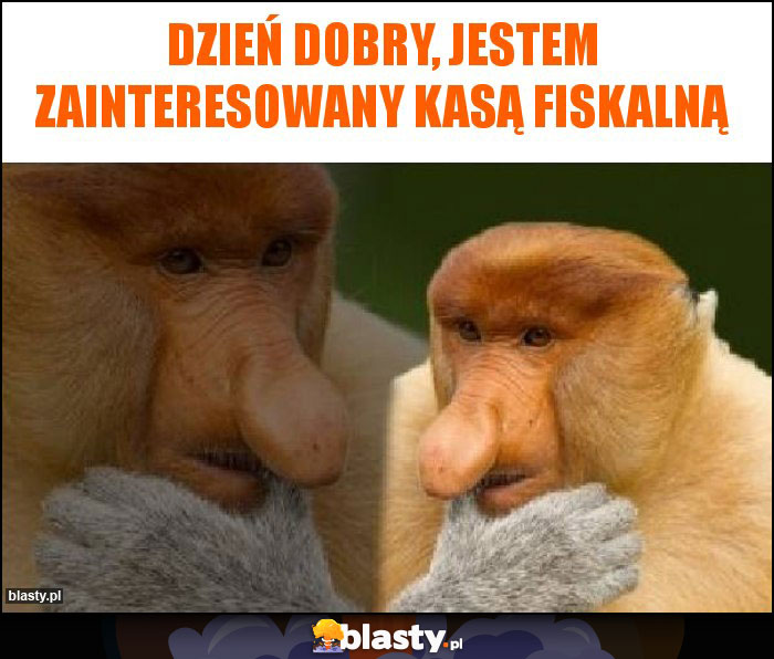 Dzień dobry, jestem zainteresowany kasą fiskalną