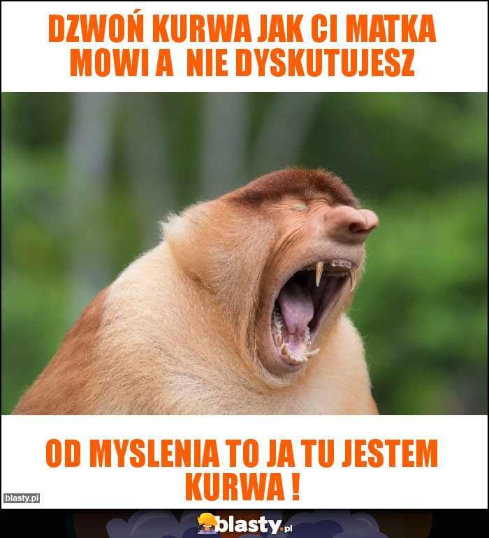 dzwoń kurwa jak ci matka mowi a  nie dyskutujesz