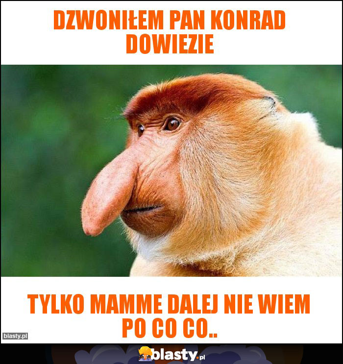 dzwoniłem pan konrad dowiezie