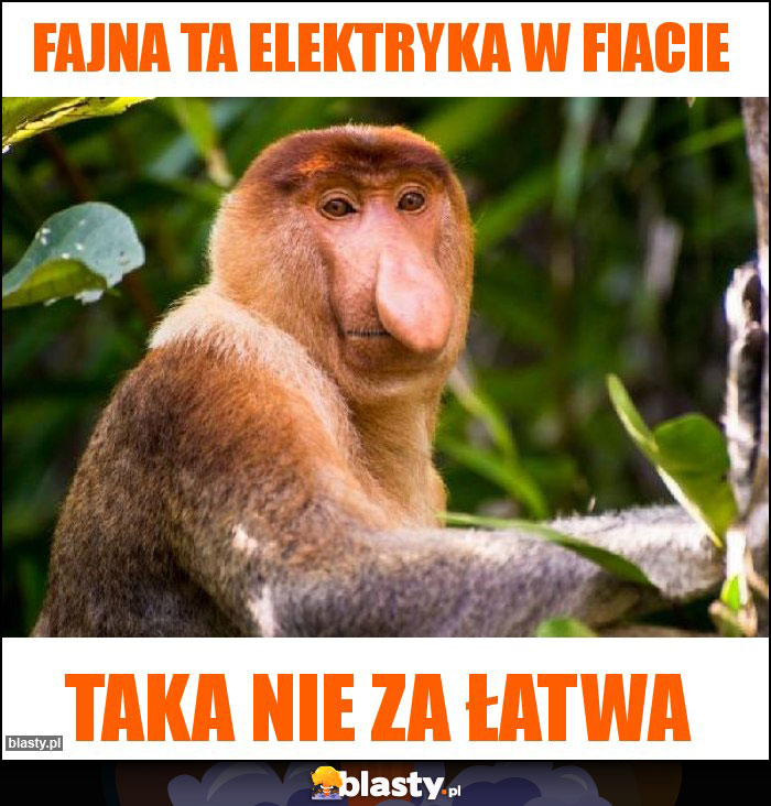 Fajna ta elektryka w Fiacie