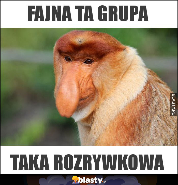 Fajna ta grupa