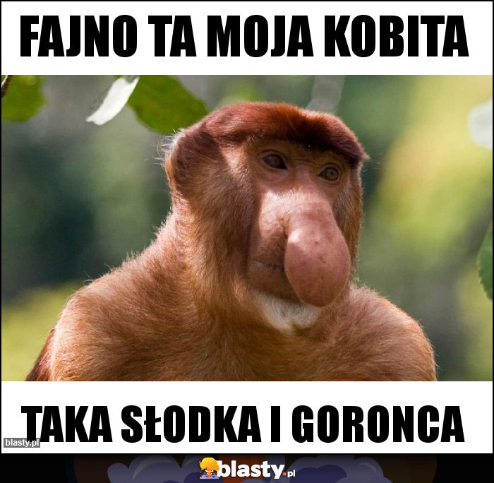 Fajno ta moja kobita