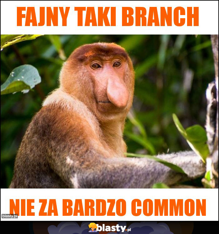 Fajny taki branch