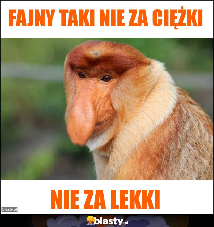 Fajny taki nie za ciężki