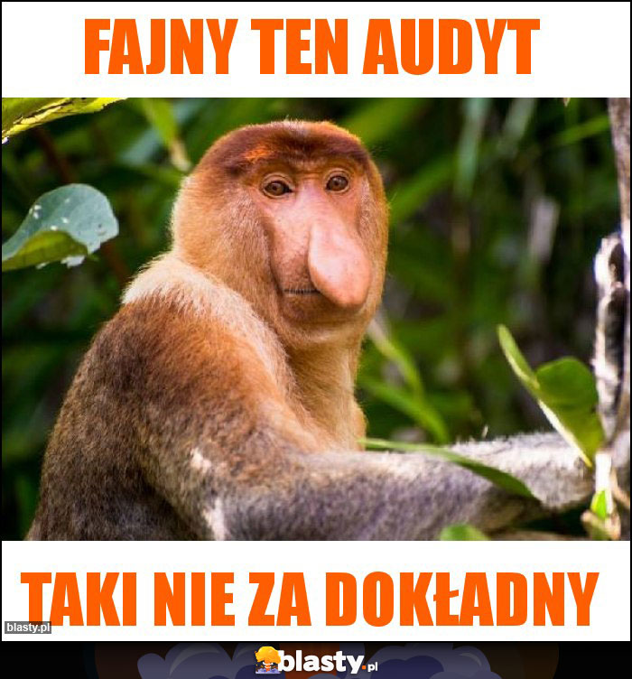 Fajny ten audyt