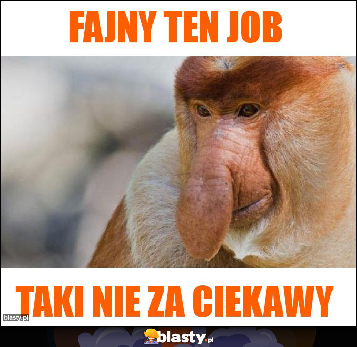 Fajny ten job