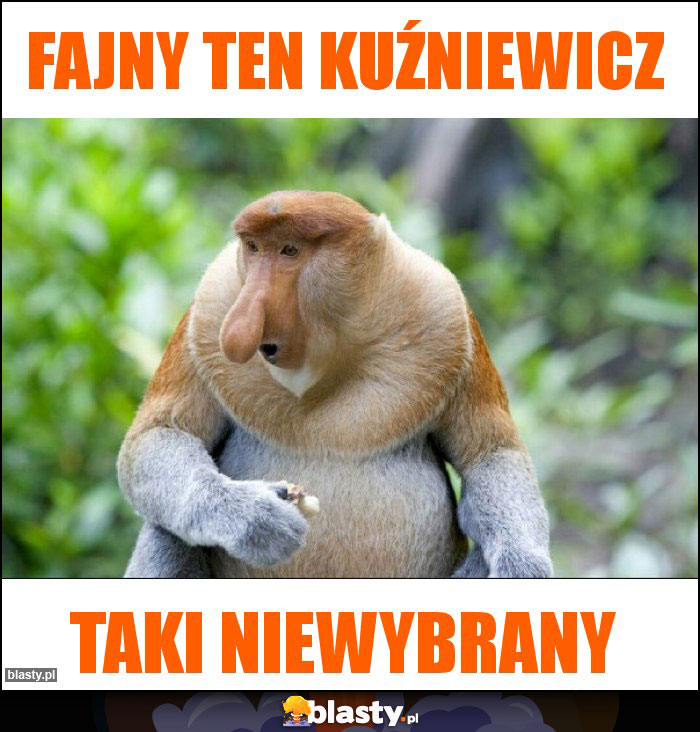 Fajny ten kuźniewicz