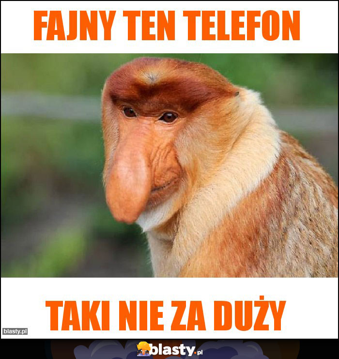 Fajny ten telefon
