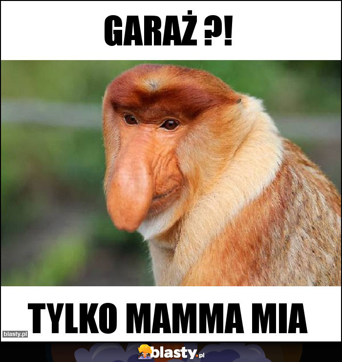 Garaż ?!
