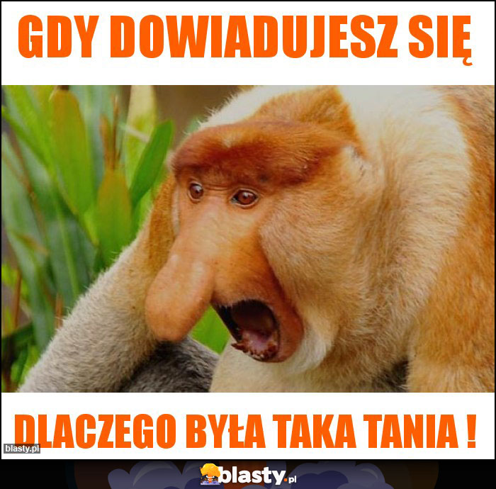 Gdy dowiadujesz się