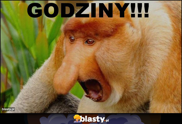 GODZINY!!!