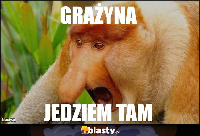 Grażyna