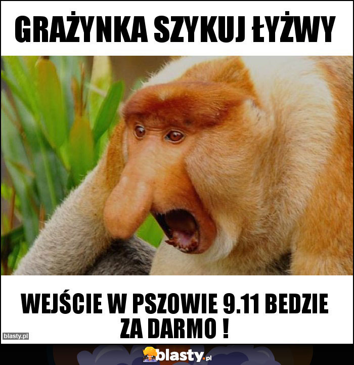 Grażynka szykuj łyżwy