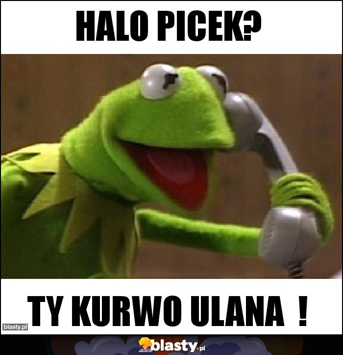 Halo picek?
