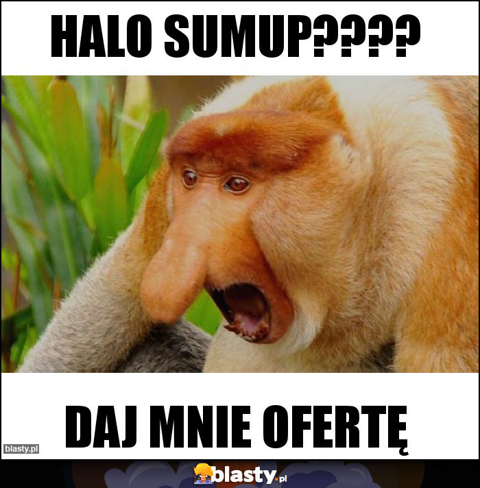 Halo SumUp????