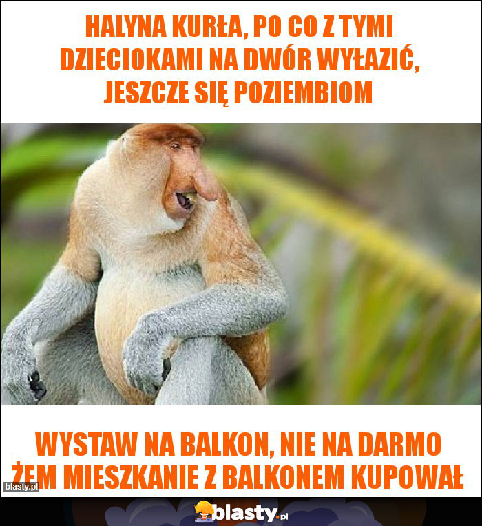 Halyna kurła, po co z tymi dzieciokami na dwór wyłazić, jeszcze się poziembiom