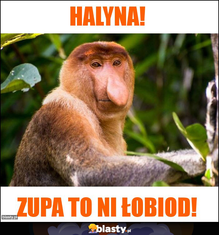 Halyna!
