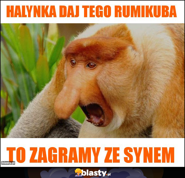 Halynka daj tego rumikuba