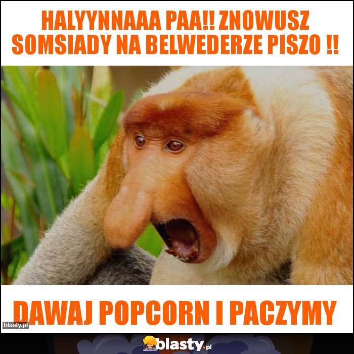 Halyynnaaa paa!! Znowusz somsiady na belwederze piszo !!