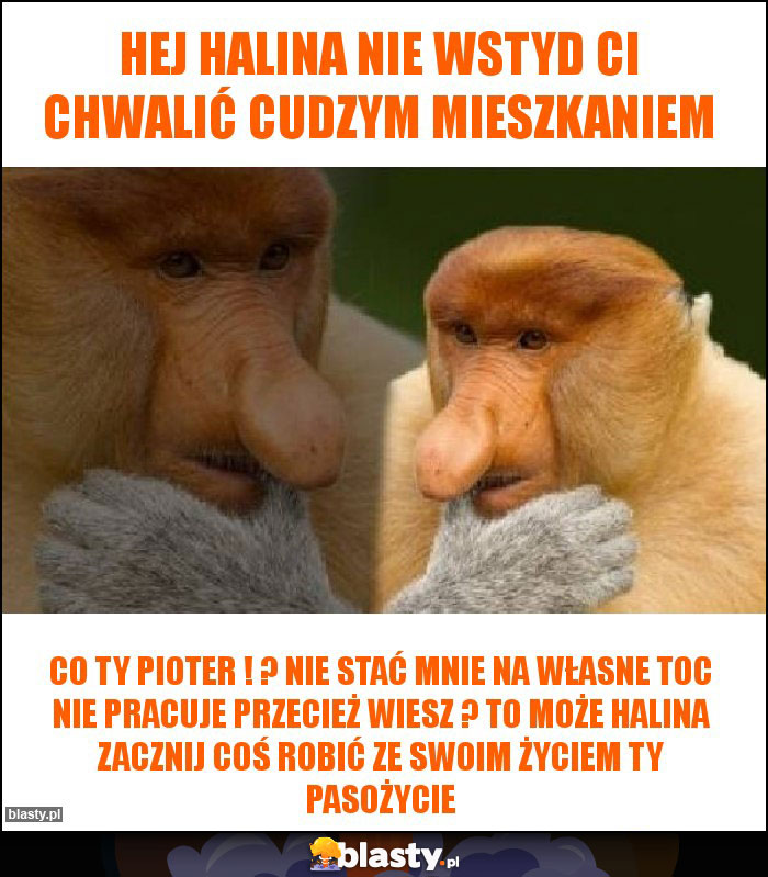 Hej Halina nie wstyd Ci chwalić cudzym mieszkaniem
