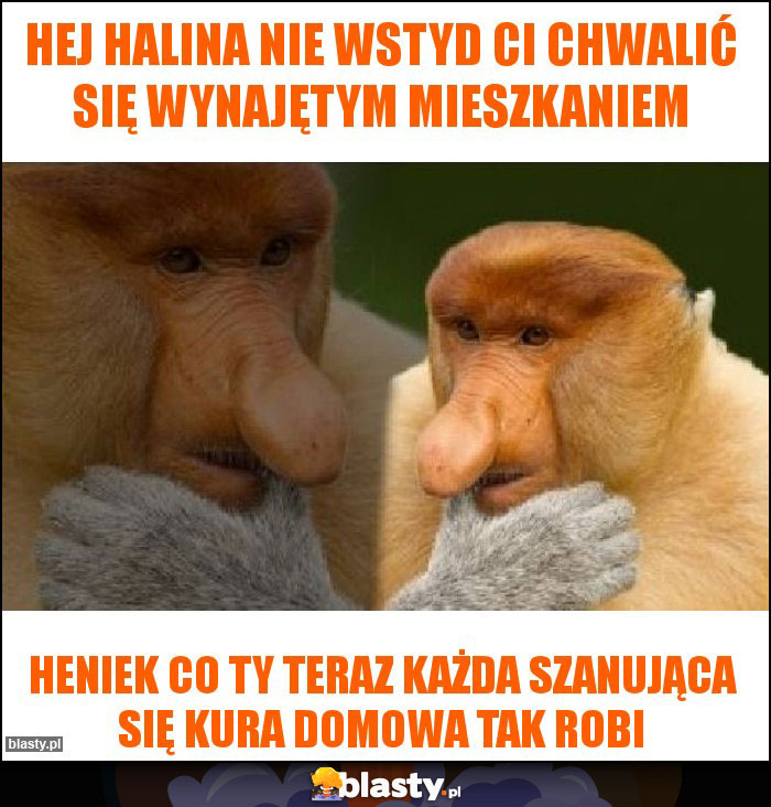 Hej Halina nie wstyd Ci chwalić się wynajętym mieszkaniem