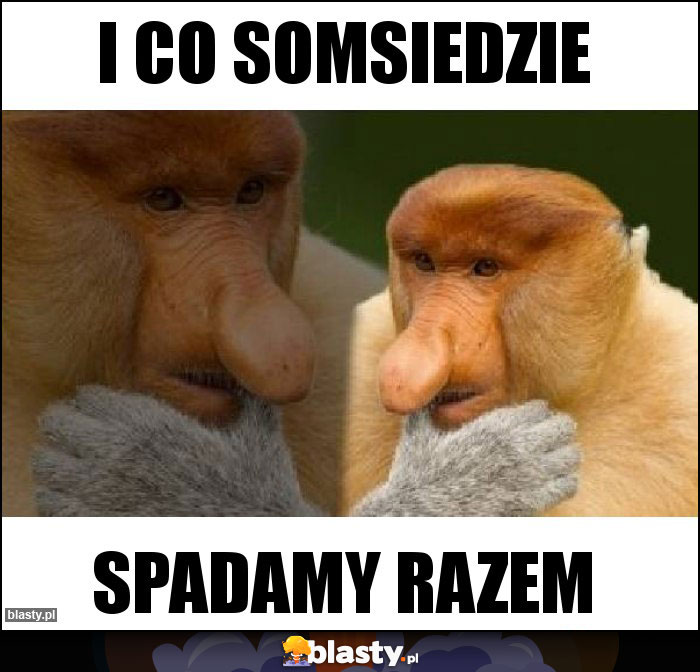 I CO SOmsiedzie