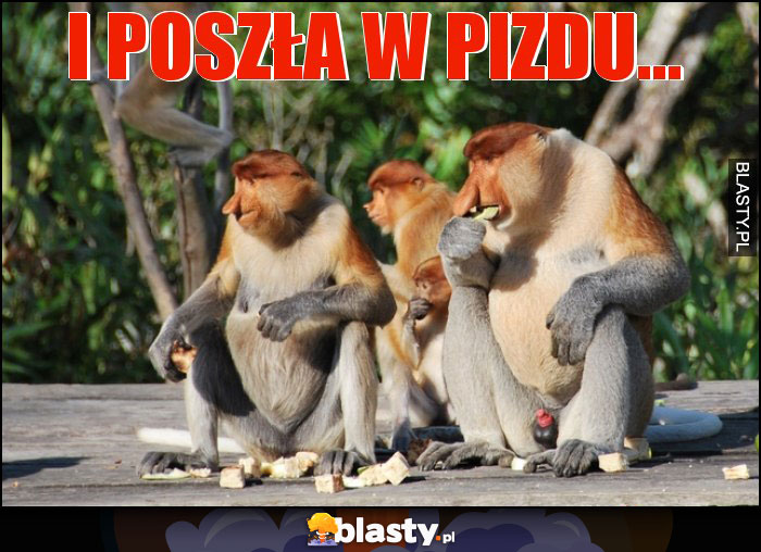 i poszła w pizdu...