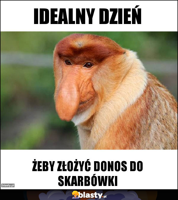 Idealny dzień