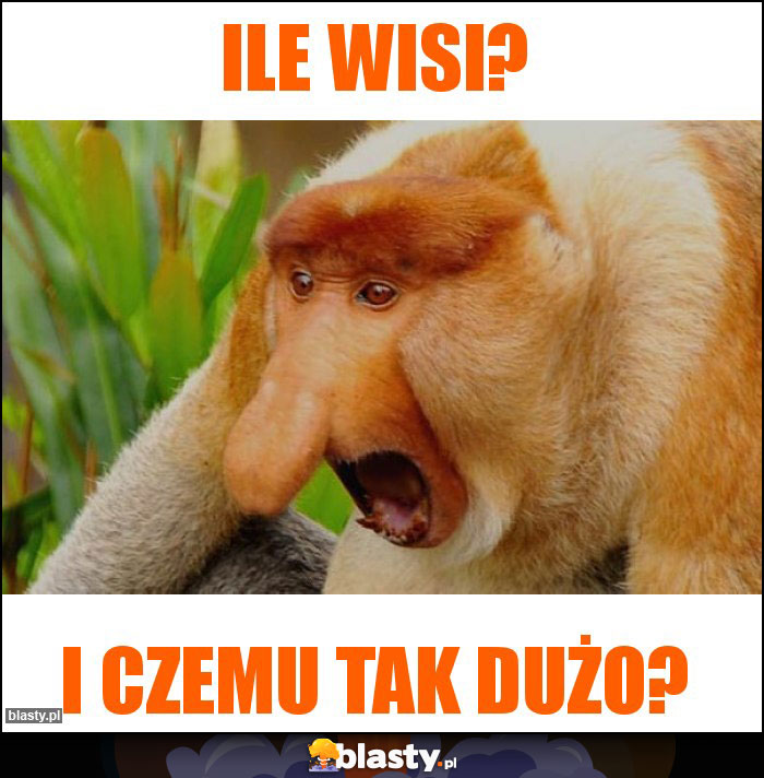 ile wisi?