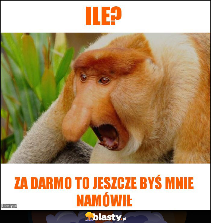 Ile?