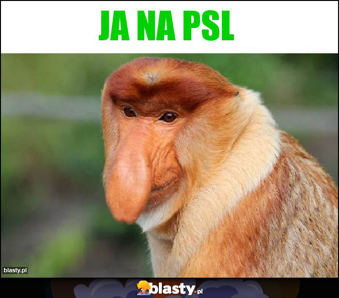 ja na PSL