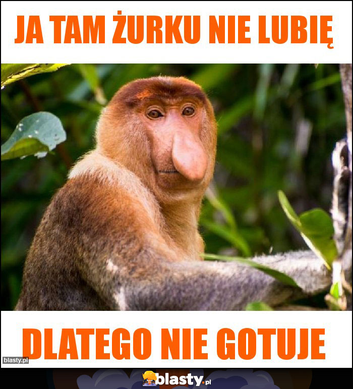 Ja tam żurku nie lubię