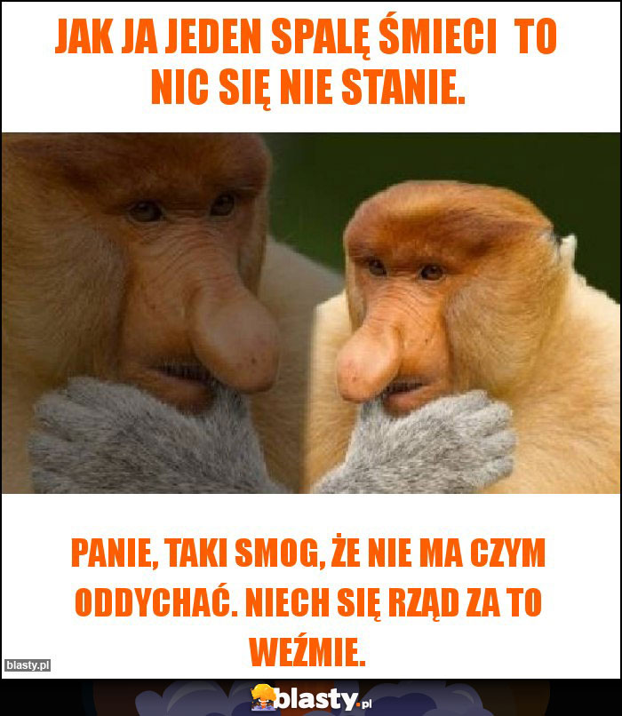 Jak ja jeden spalę śmieci  to nic się nie stanie.