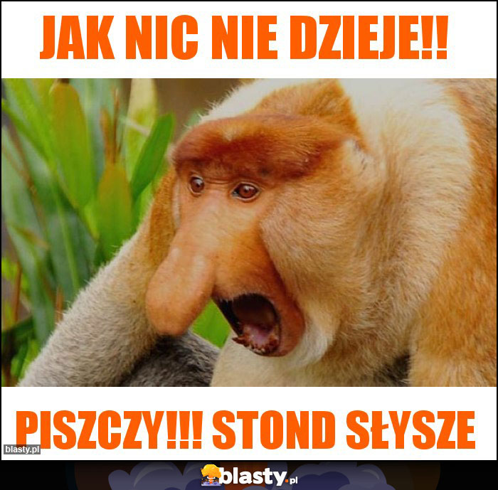 jak nic nie dzieje!!