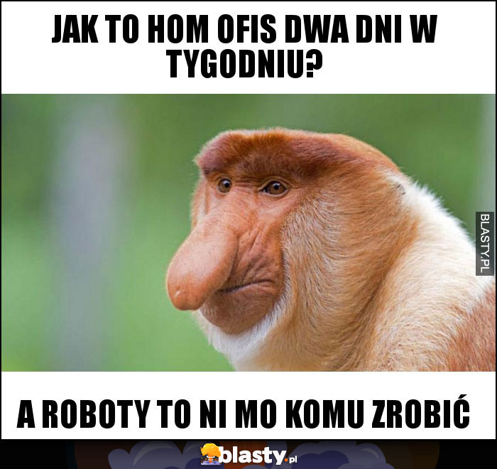 jak to Hom Ofis dwa dni w tygodniu?