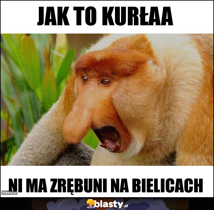 Jak to kurłaa