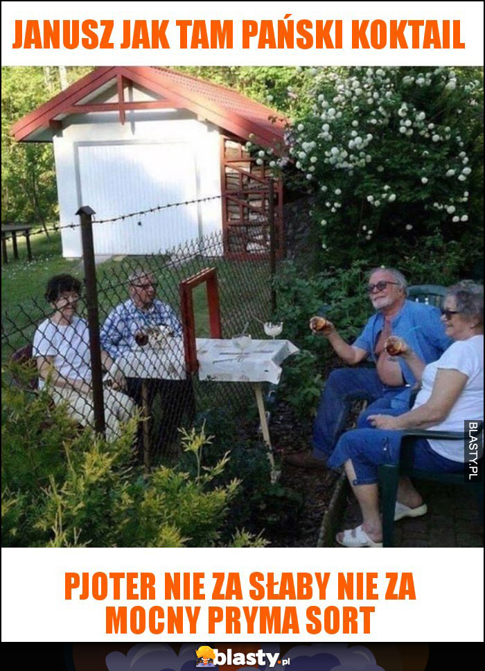 Janusz jak tam PAŃSKI KOKTAIL