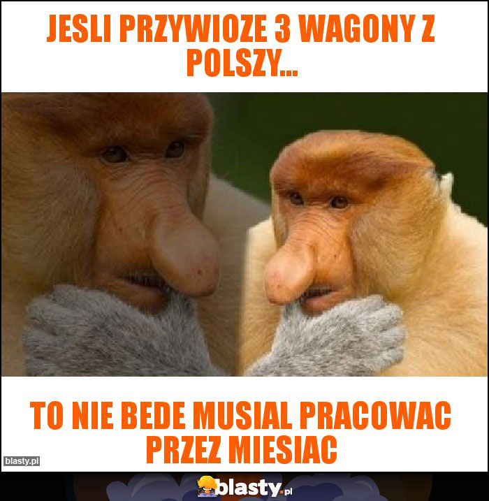 Jesli przywioze 3 wagony z Polszy...