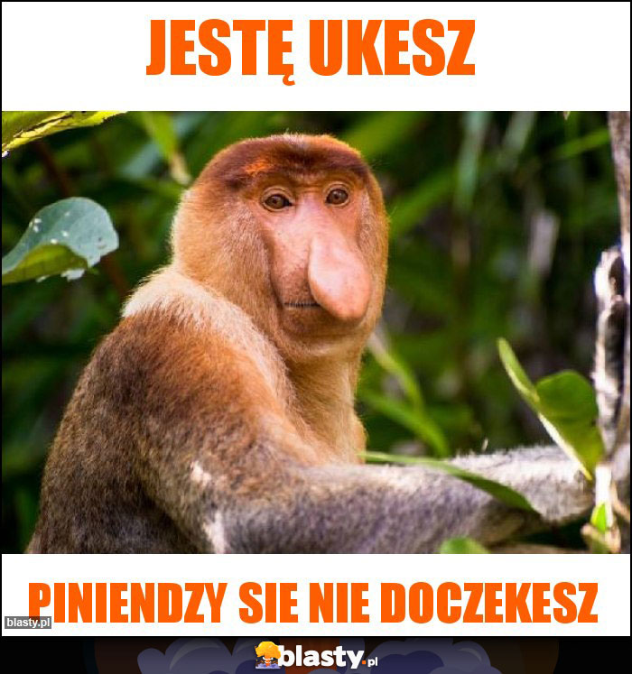 Jestę Ukesz