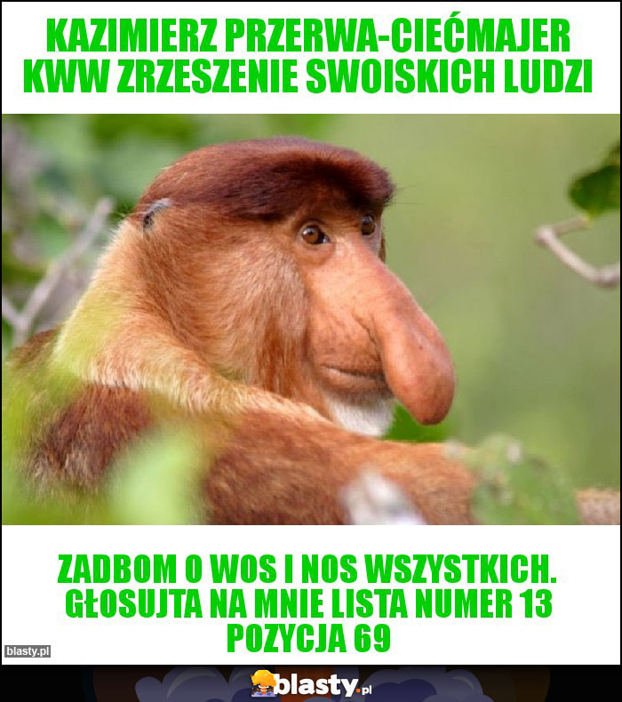 Kazimierz Przerwa-Ciećmajer KWW Zrzeszenie Swoiskich Ludzi