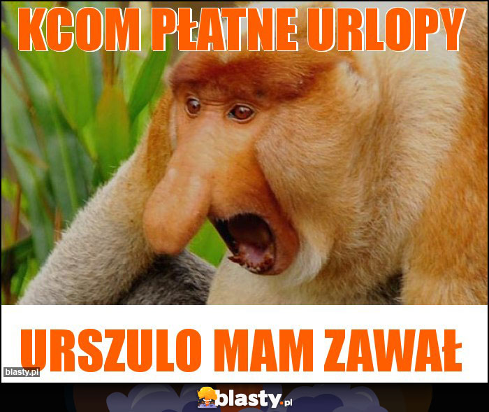 KCOM PŁATNE URLOPY