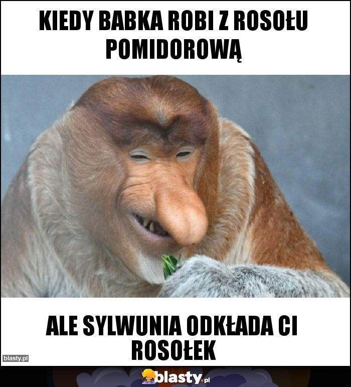 Kiedy babka robi z rosołu pomidorową