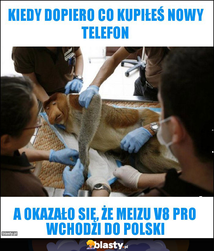 KIEDY DOPIERO CO KUPIŁEŚ NOWY TELEFON