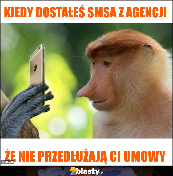 kiedy dostałeś smsa z agencji