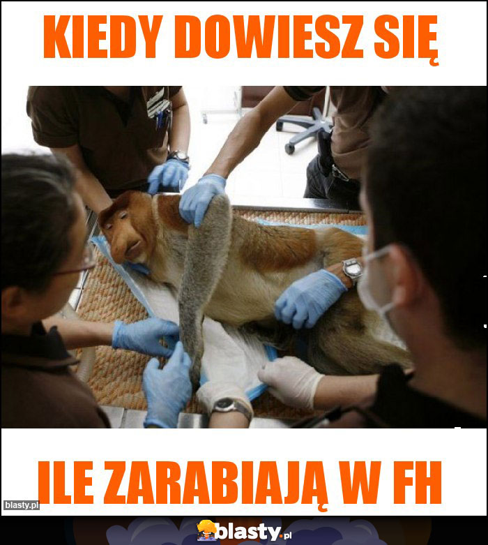 Kiedy dowiesz się