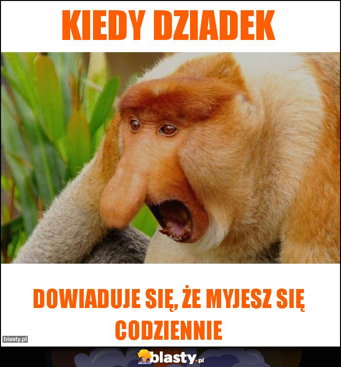 Kiedy dziadek