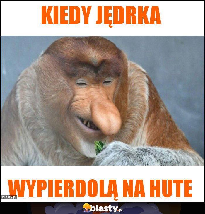 Kiedy jędrka