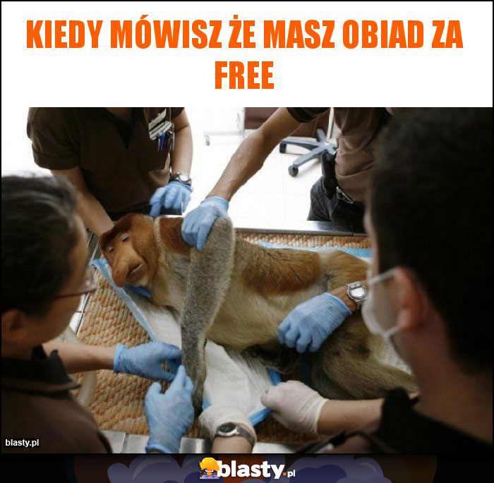 Kiedy mówisz że masz obiad za free
